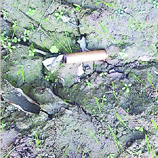 Half-burnt body found in woods