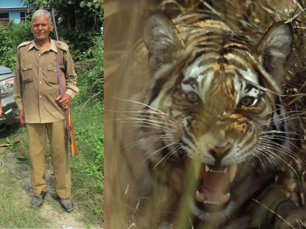  man eater tiger killed hunter mini corbett Passed away