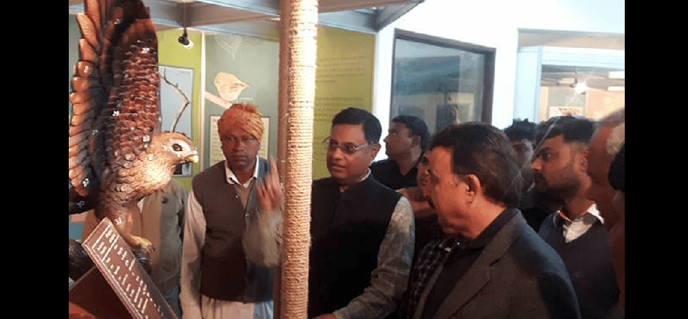 Bird Watching Festival: Telescope sighted bird