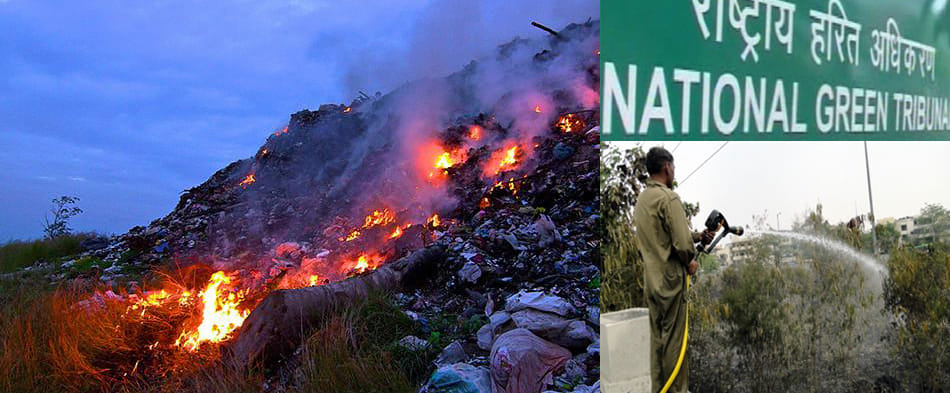 ngt serious on mass burning 