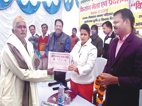 Based on the well-being of agriculture in Bundelkhand