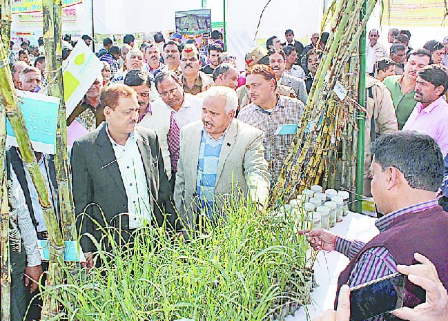 Be of interest to farmers living