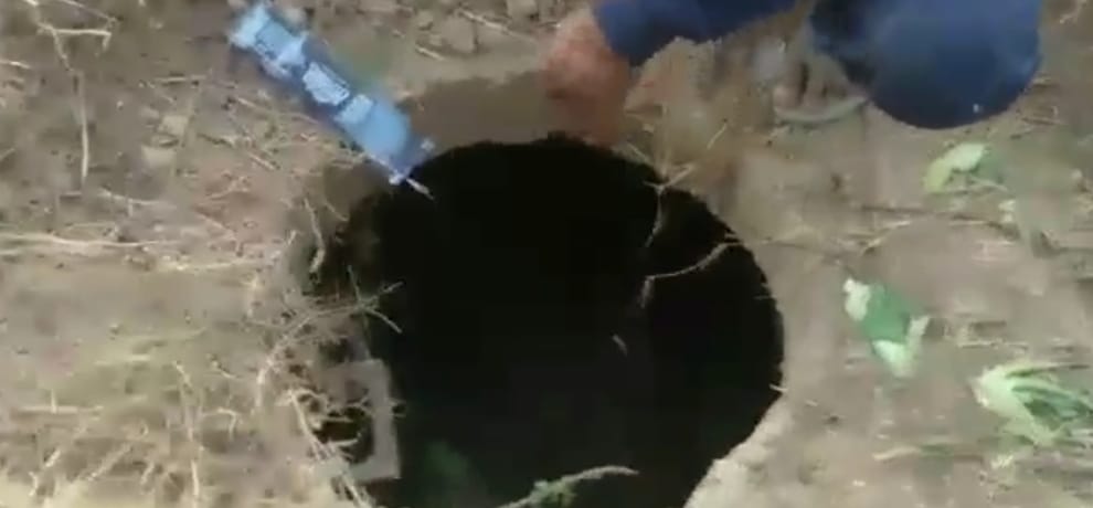 Nilgau fall into sewerage's manhole, had a hard time hours
