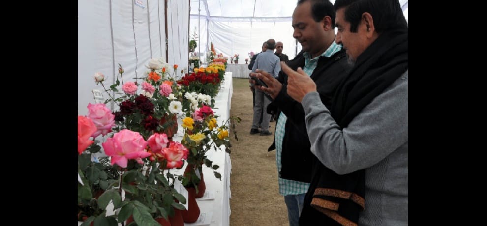 Winter All India Rose Show starts