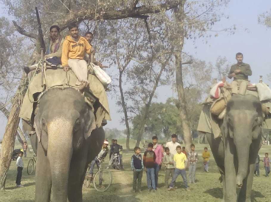Dudhwa, gathered in search of Rhino and Pushpakli Pvnkli