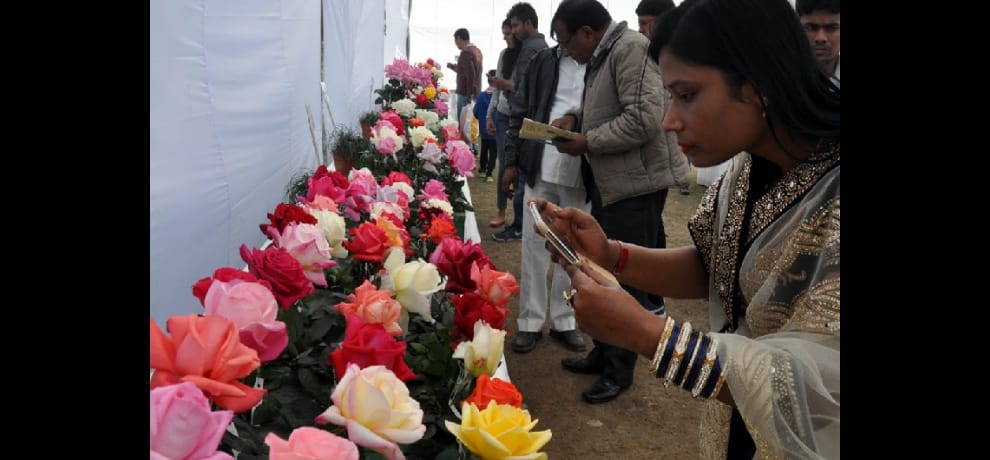 Winter All India Rose Show starts