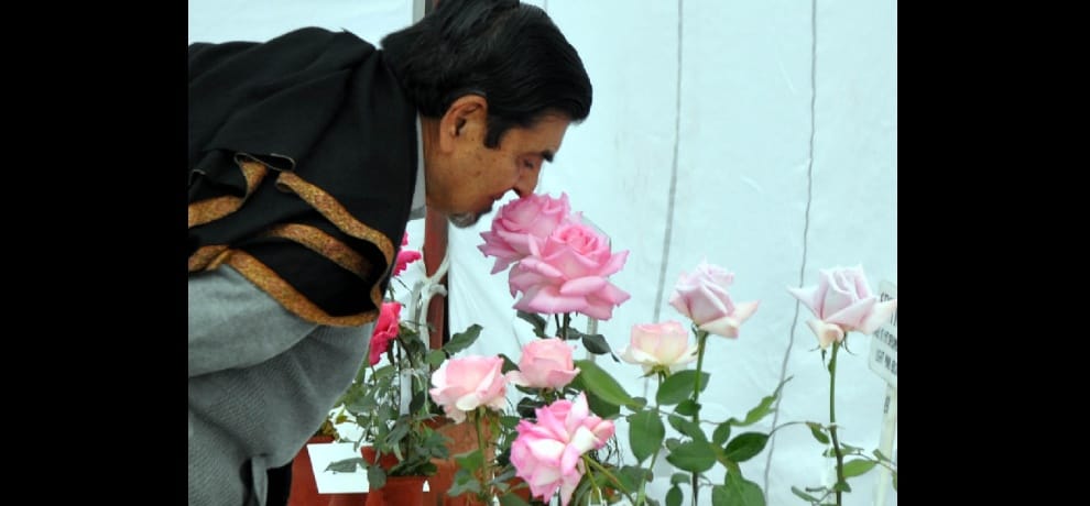 Winter All India Rose Show starts