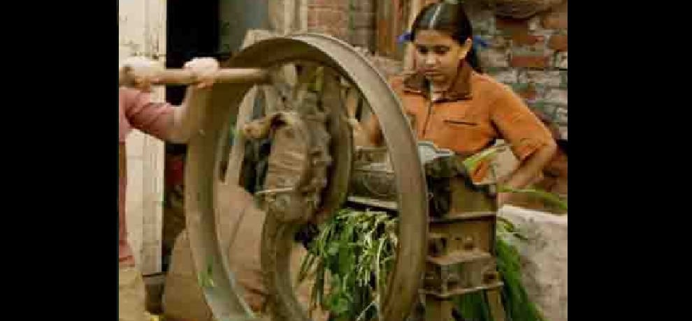 daughter of faridabad suhani bhatnagar babita is in dangal
