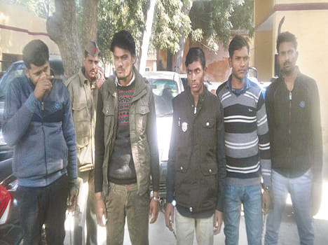 Gang of vehicle thieves arrested five people