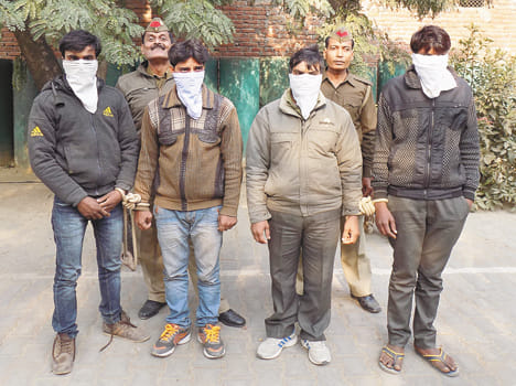 Vehicle theft include many districts of