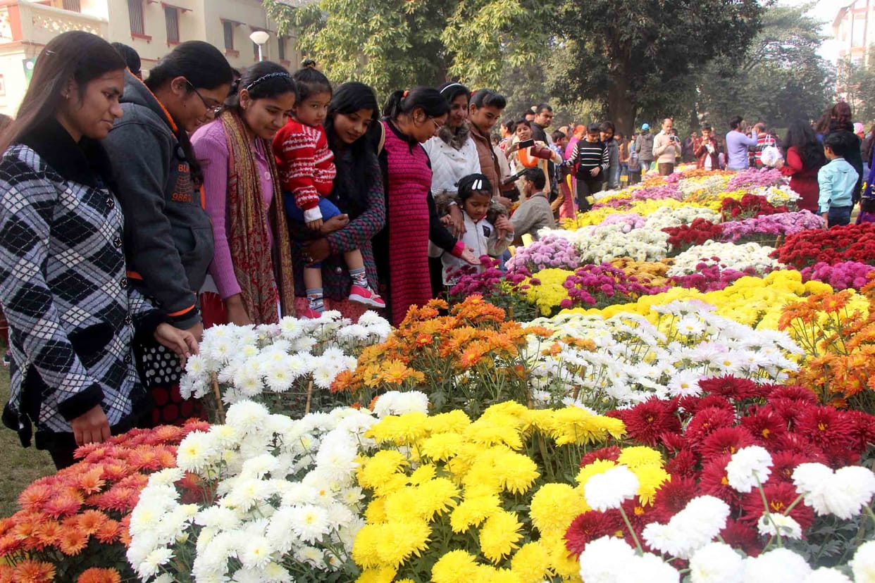 see world of flowers in BHU for three days on Malaviya Jayanti programs will held at different places