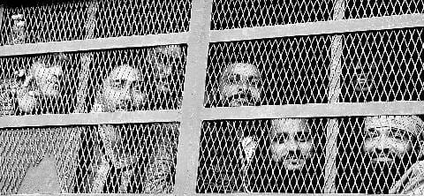 1475 in new high security prison prisoner shift