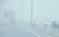 Revenge season, missed shudder, just bone cold Kanpaagi, Karnal