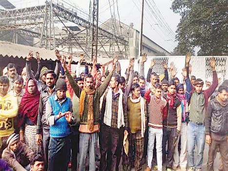 The organically grown sugar mill workers