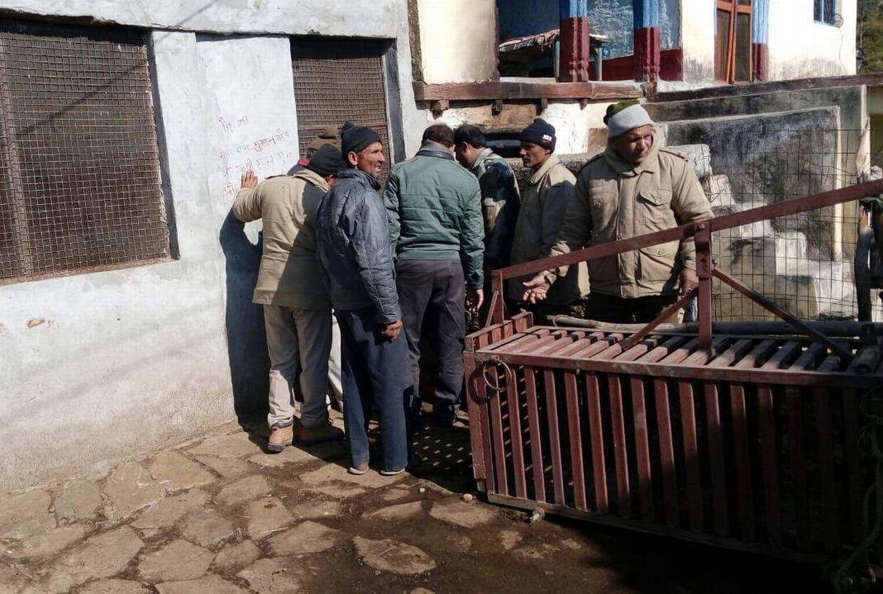 Guldar goats imprisoned in the enclosure
