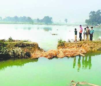 Canal cut, 700 acres crop submerged 