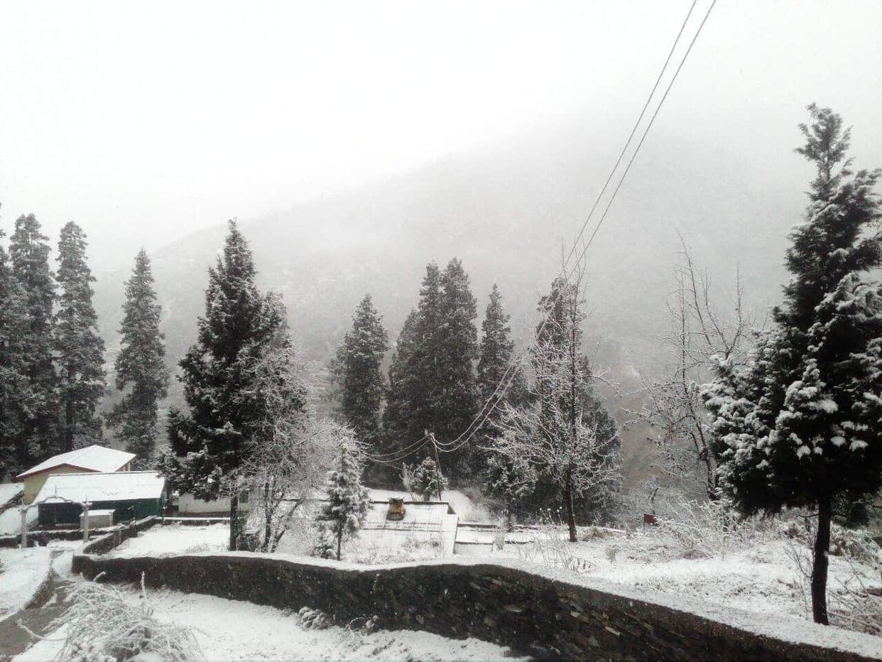 first snowfall of winter, awesome photos
