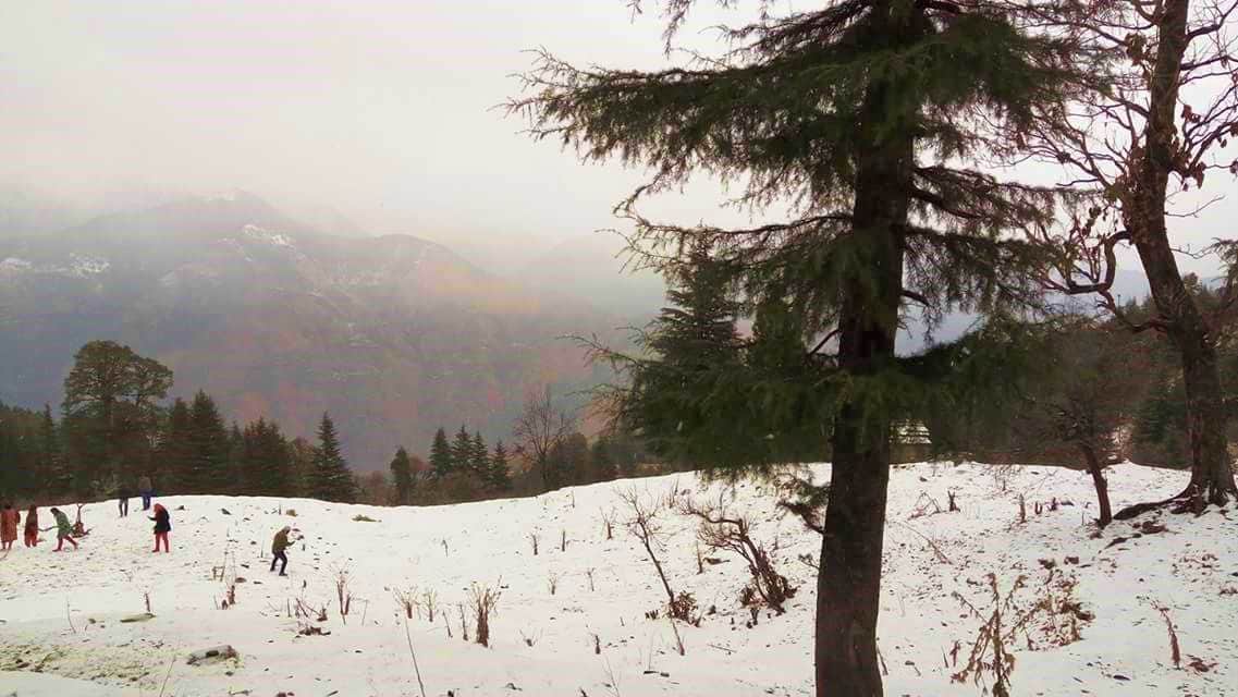 first snowfall of winter, awesome photos