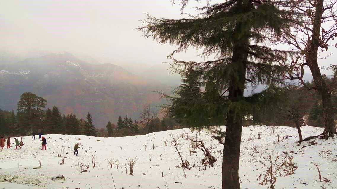 first snowfall of winter, awesome photos