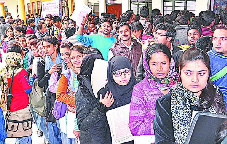 Job fairs unemployed descended three districts