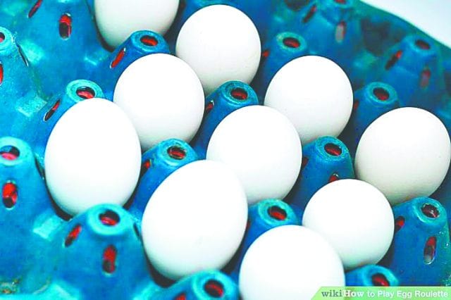 egg