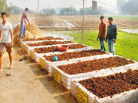 Making two thousand acres of organic farming