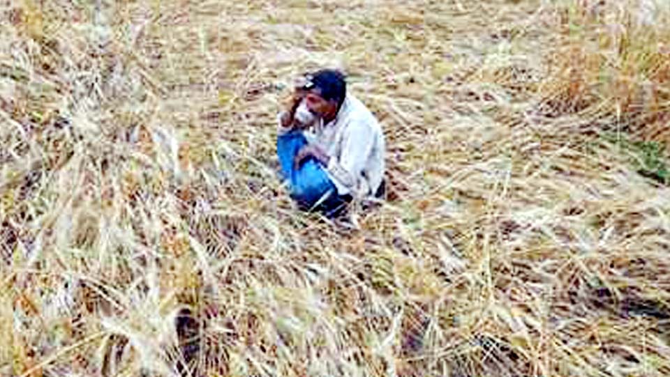 two farmers death heart attack