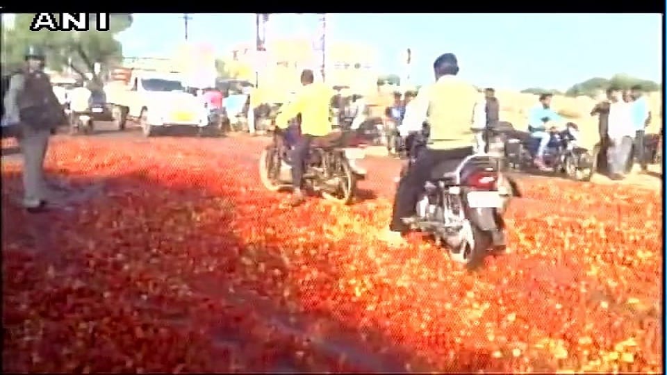 Farmers unload 70 trucks of tomatoes on road in Chhattisgarh
