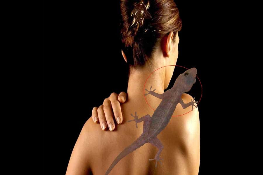 meaning of lizard falling on body parts