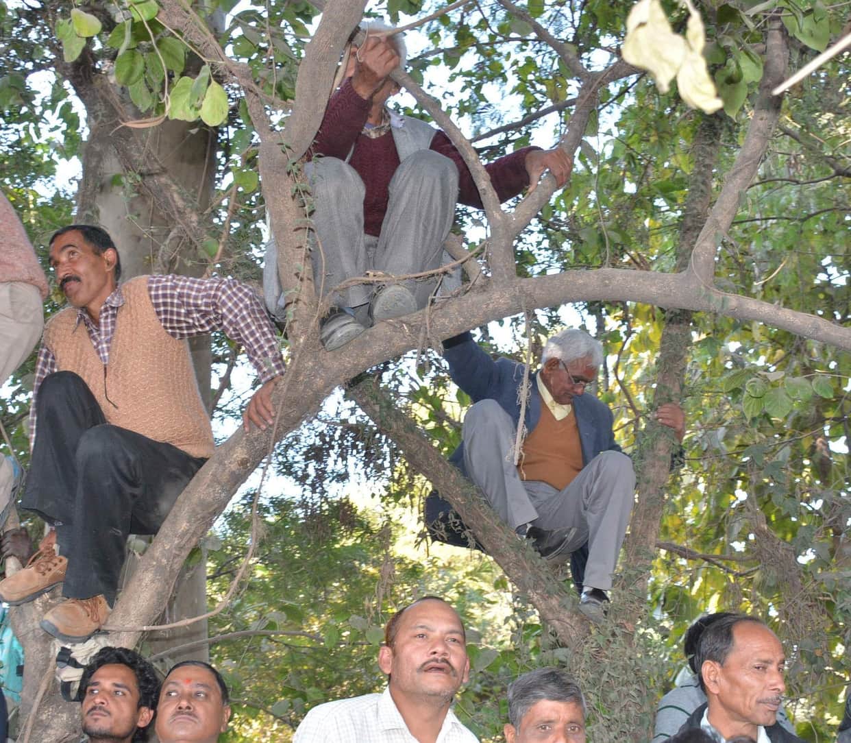 narendra modi craze in public