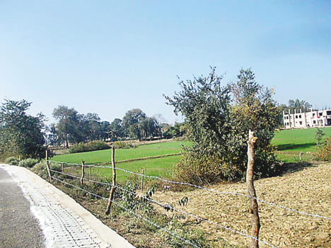 Anna cattle farmers Duhndha way of rescue
