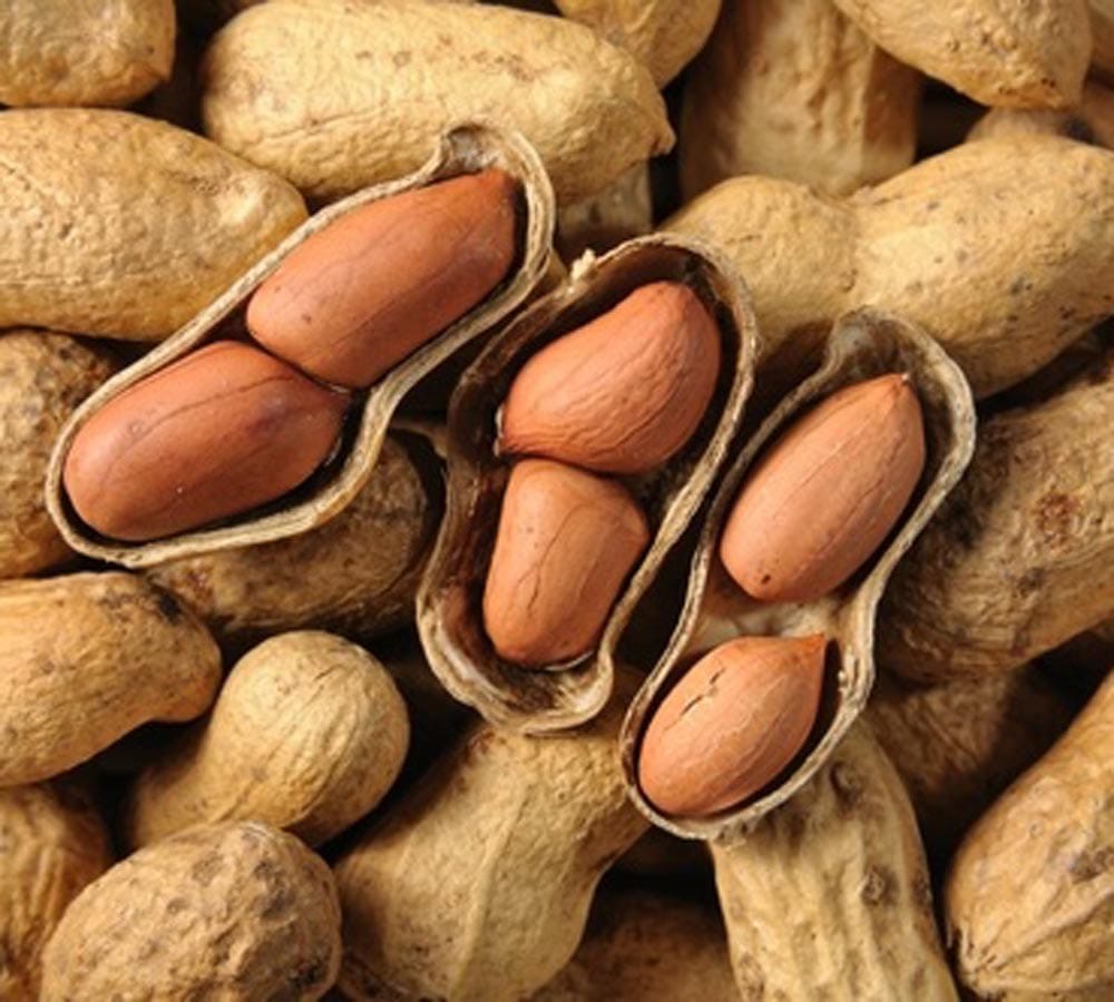 some amazing health benefits of peanut