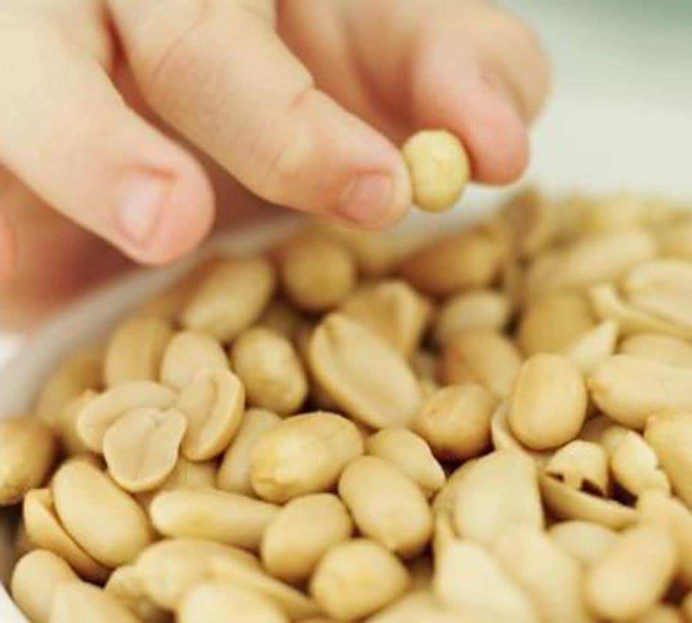 Sawan 2018: A Shiva Devotee must avoid these foods during Shravan Month