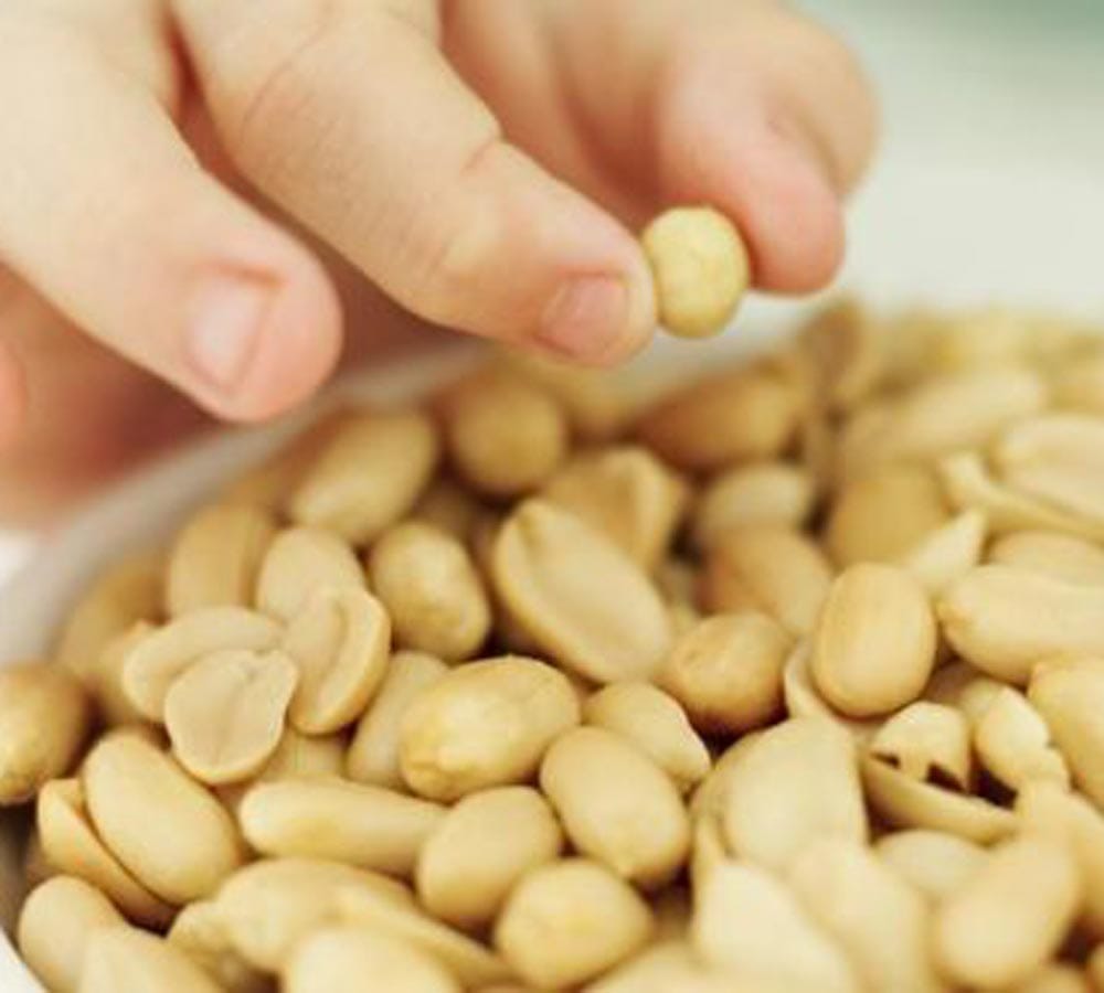 peanut benefits in hindi,  Peanuts may lower cardiovascular risk