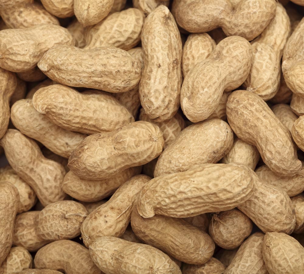 peanut benefits in hindi,  Peanuts may lower cardiovascular risk