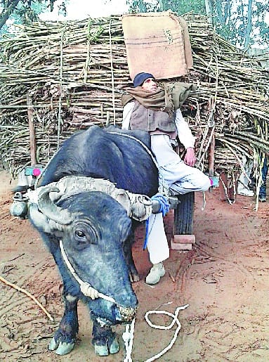 Farmer killed in Birla