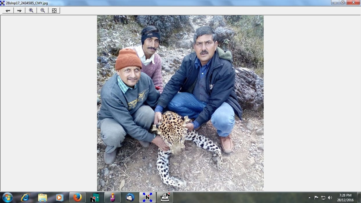 leporad died in solan