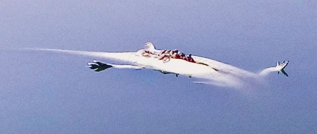 crocodile chambal
