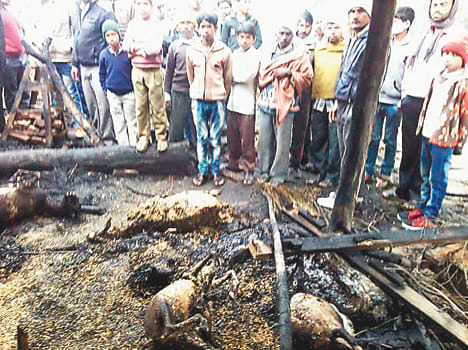 Dibri falling fire, scorched two young men