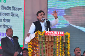 CM in the tightly dig Chutile Style
