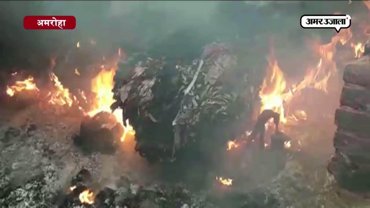 अमरोहा में कॉटन फैक्ट्री में लगी आग 