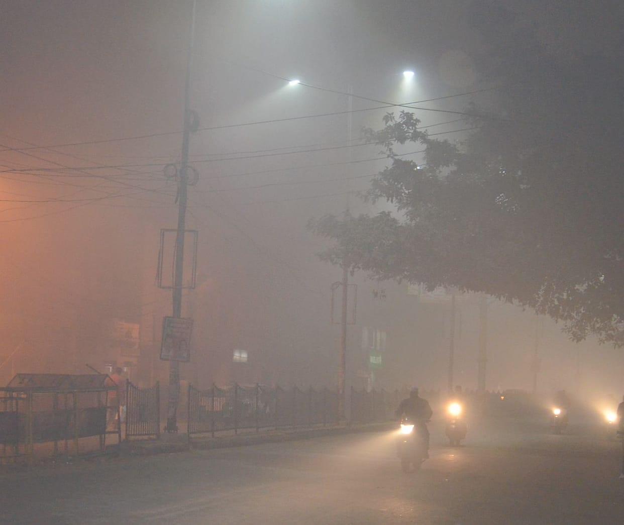 Fog havoc: Seven injured in accident.