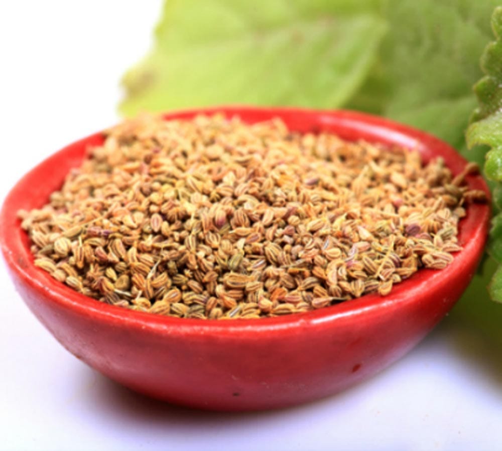 how to get rid of bed bugs from house in hindi