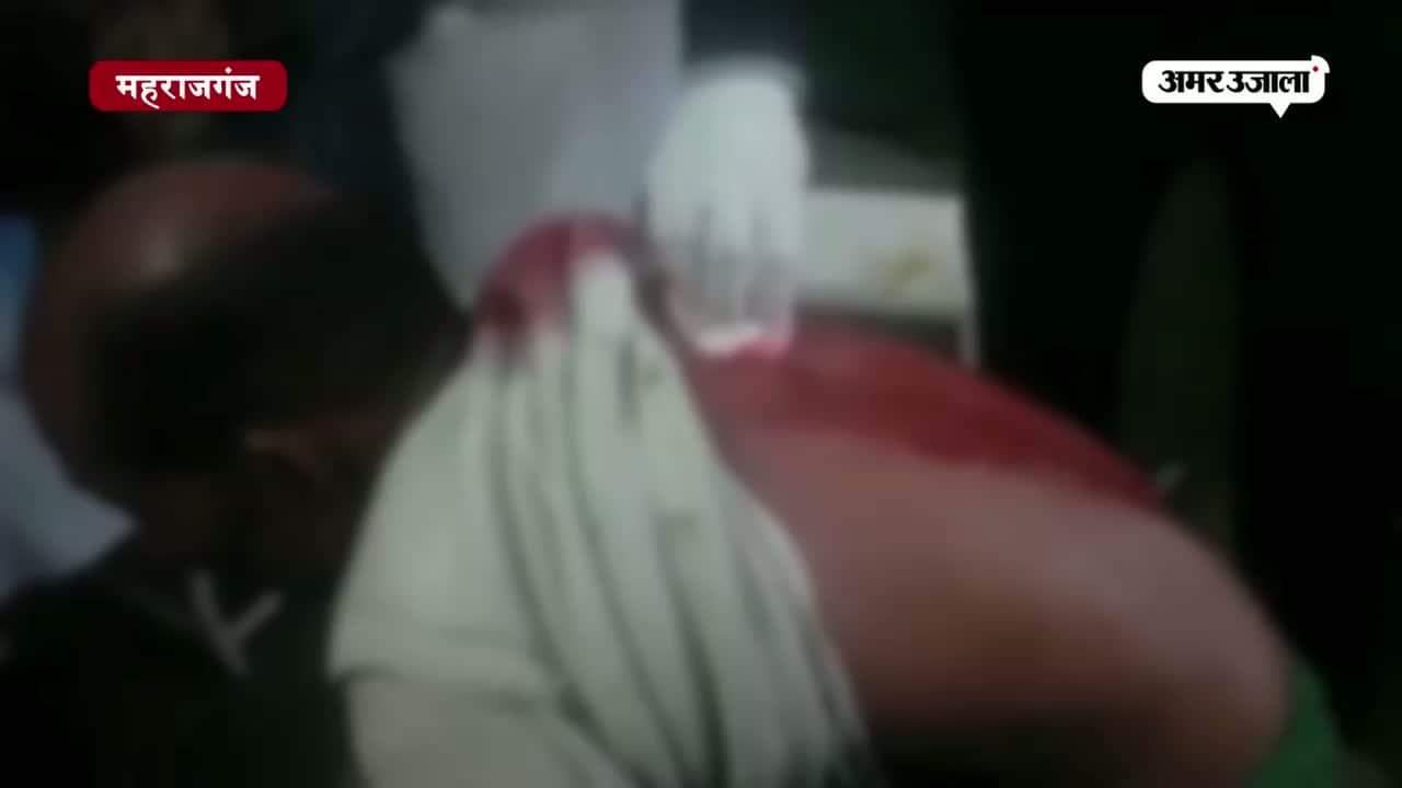 महराजगंज में तेंदुए का कहर 