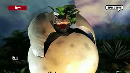 Look, where did the dinosaurs Fair