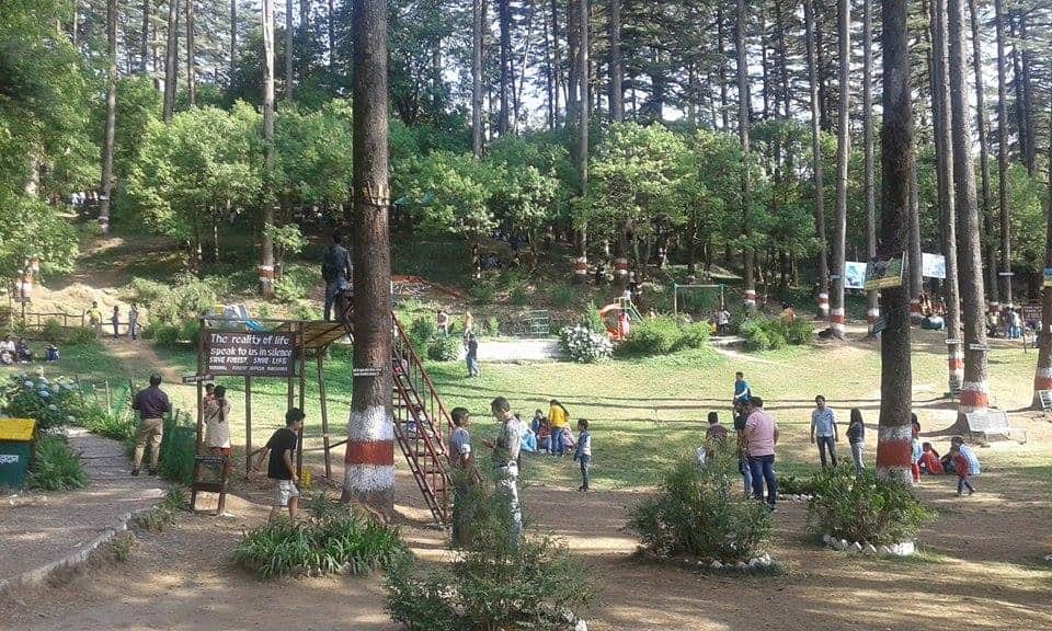 new year celebration in uttarakhand.