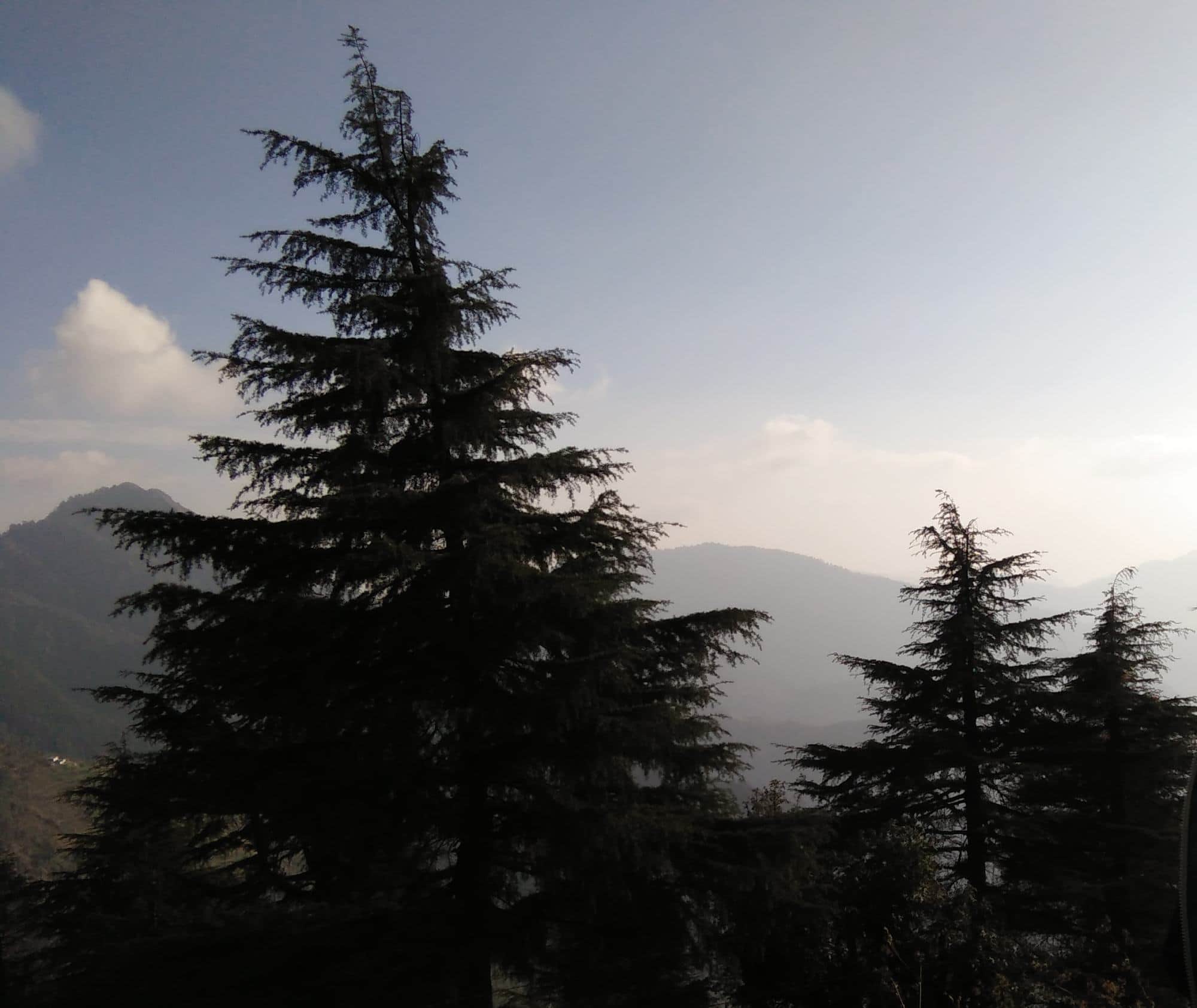 snowfall in uttarakhand at new year.