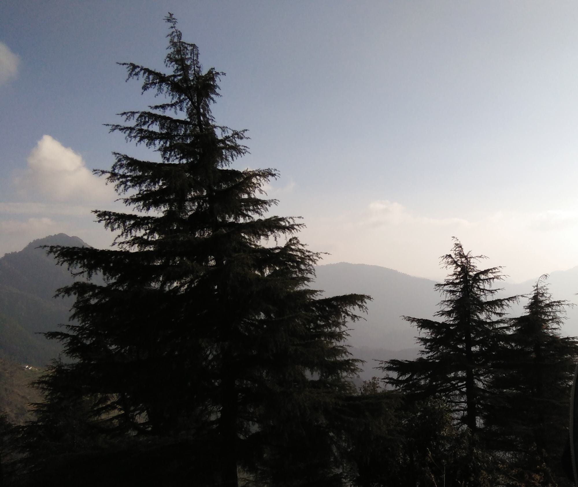 snowfall in uttarakhand at new year.