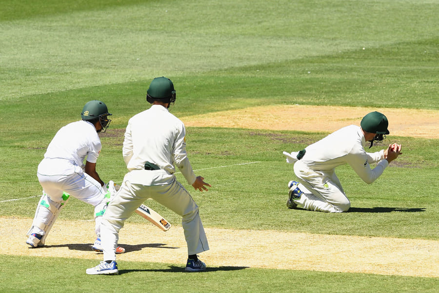 Australia Vs Pakistan: Mitchell Starc Stars In Hosts' Stunning Last Day Win