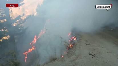 fire in forest of sawjiyan sector in jammu